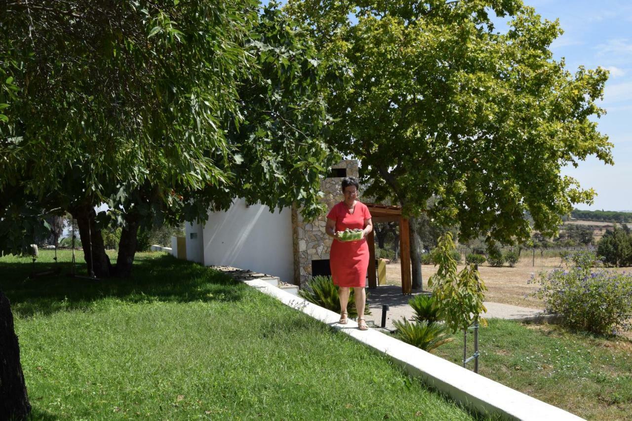Quinta Da Aurora Villa เอโวรา ภายนอก รูปภาพ