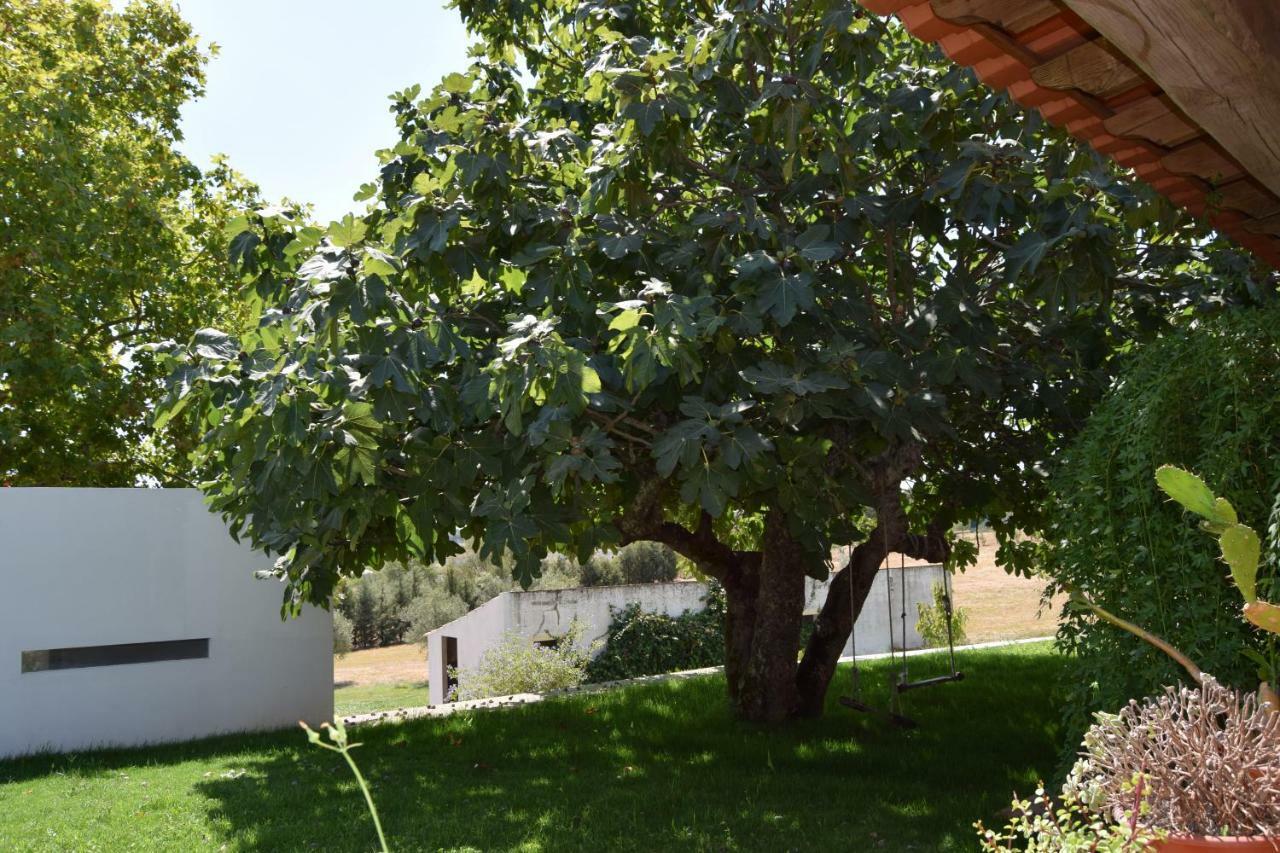 Quinta Da Aurora Villa เอโวรา ภายนอก รูปภาพ